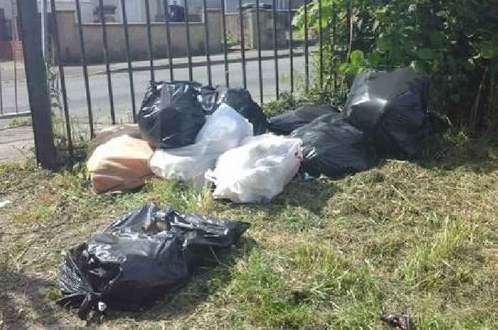 Man 'couldn't explain' why his rubbish was dumped in park