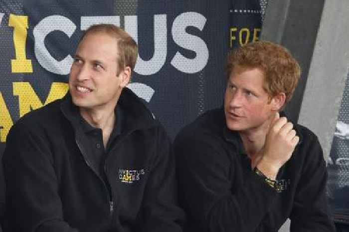 Prince Harry and William come under fire from Ricky Gervais for 'unbelievable' move at gig