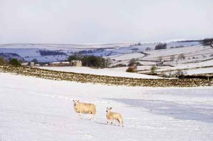 UK braced for 490-mile snow storm and 'rare' weather event in England next week