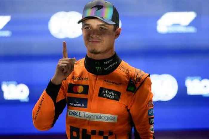 Lando Norris bounces back from championship loss with sprint race pole in Qatar