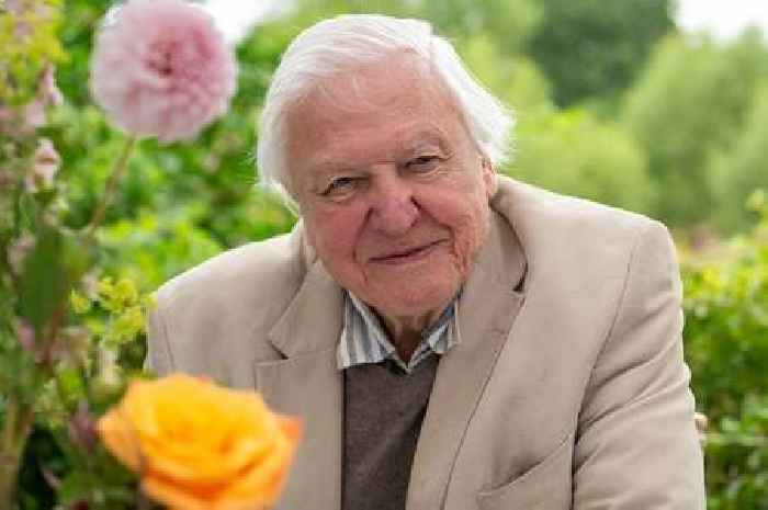 Sir David Attenborough unrecognisable in 'hunky' throwback photos