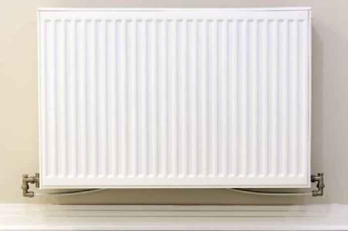 British Gas, OVO, EDF, EON, Octopus customers warned radiator habit is 'adding to bills'