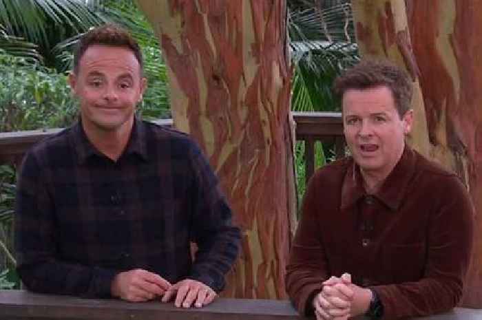 ITV I'm A Celebrity close to being pulled from air and Dec says 'it's bad'