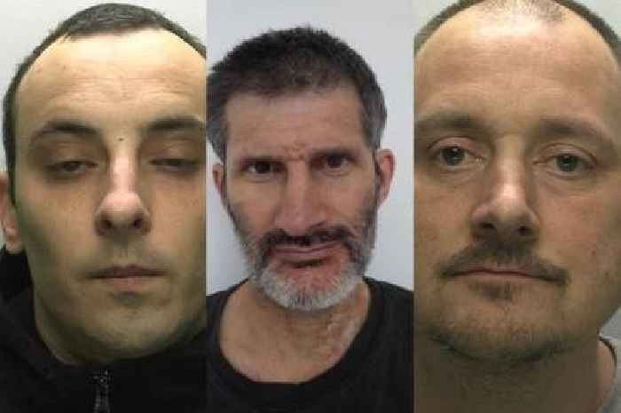 Jailed in November at Truro Crown Court: Controlling thug, 'danger to children' paedo, and charity robber