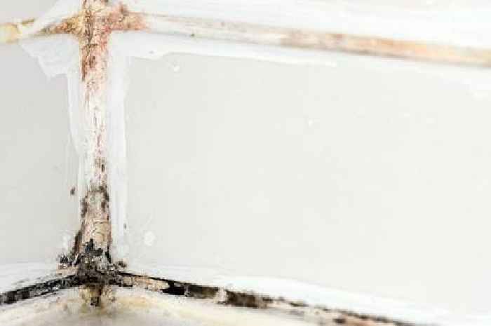 Banish bathroom mould using one 'incredibly effective' item