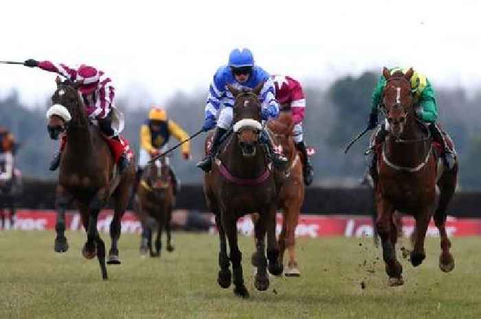 Fairyhouse racing tips and best bets as Heart Wood napped for glory in the big one