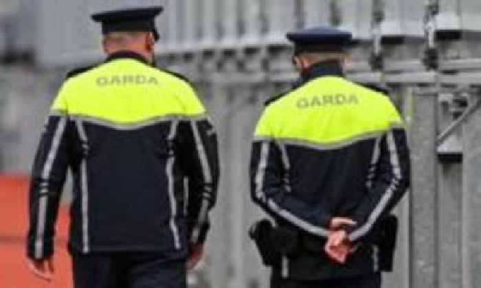 Girl dies from injuries after County Wexford assault