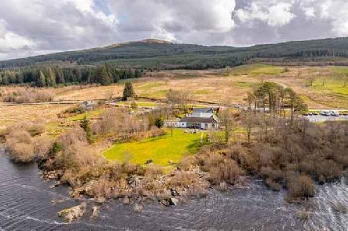 New £1.5million observatory to be developed in Galloway Forest Park