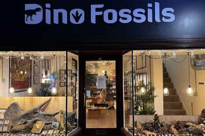 Cardiff’s got a new dinosaur store selling fossils and loads more just in time for Christmas