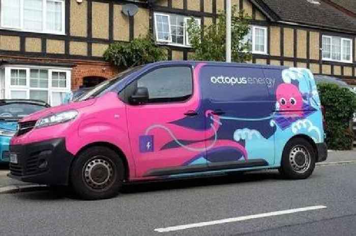 Octopus Energy handing customers 'four freebies' to help reduce bills