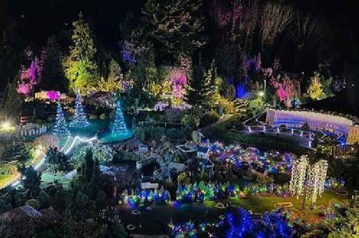 South West Christmas lights destroyed by 'feral kids' who also hurled abuse at staff