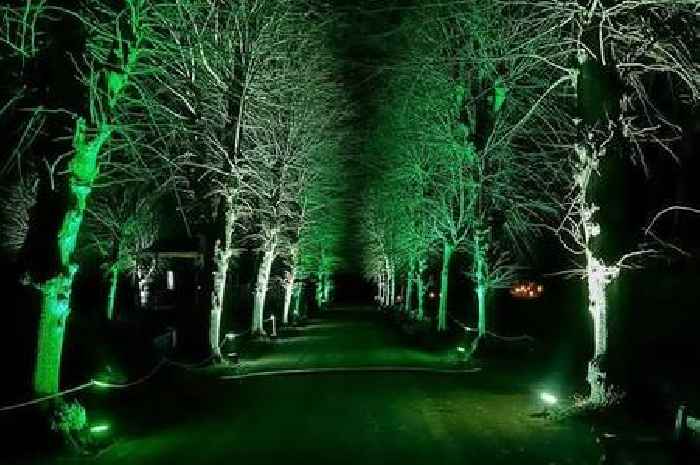 Historic Essex park to be transformed into magical festive light trail for Christmas