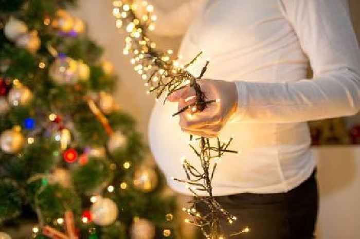 Food experts warning to pregnant women over risk of severe illness this Christmas