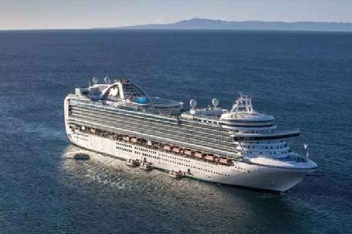 Ruby Princess cruise ship horror as passenger falls overboard sparking major search