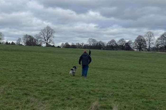 Richmond Park horror as dog kills deer after chasing it away from herd in 'deeply distressing' attack