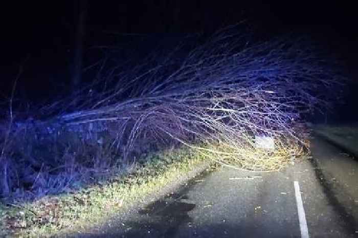 Dumfries and Galloway set to be battered by wind as Met Office issues yellow weather warning