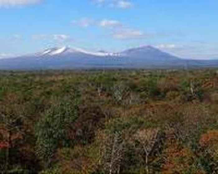 Japan witnesses warmest autumn on record