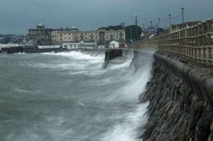 Storm Darragh: 80mph hurricane-force winds set to hit Devon during amber weather warning