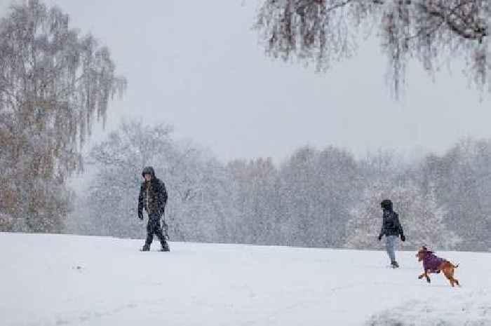 Have your say! Share your best (and worst) snow day memories!