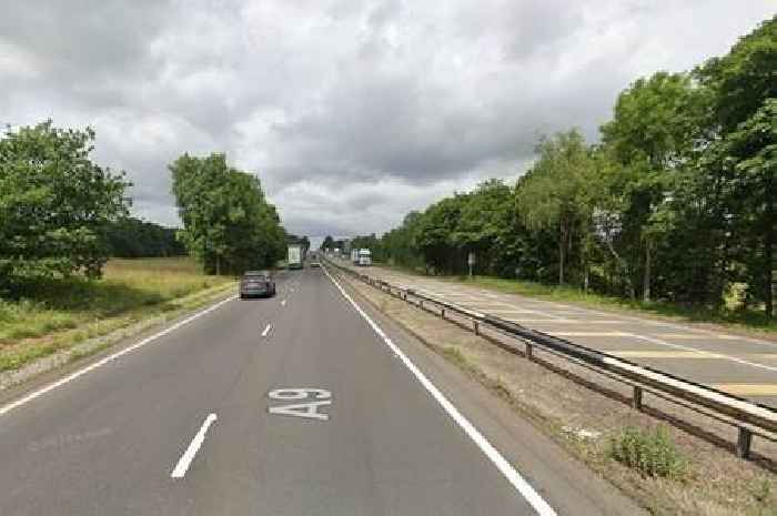 Months of road closures on A9 planned between Dunblane and Perth to remove diseased trees