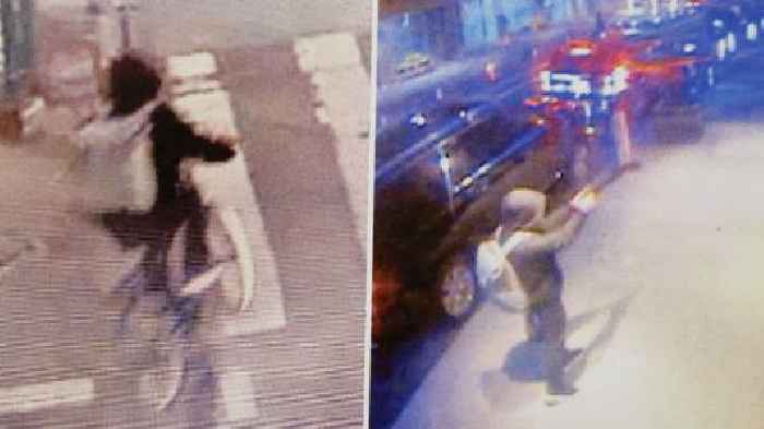 Questions remain over motive of 'professional' killer still on the run