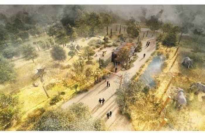 Bristol zoo launches project to champion carnivores including lions and tigers