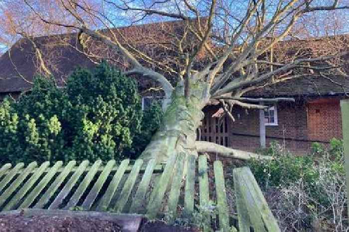 Parishioners told 'please pray' after tree falls onto Staffordshire church as Storm Darragh hits UK