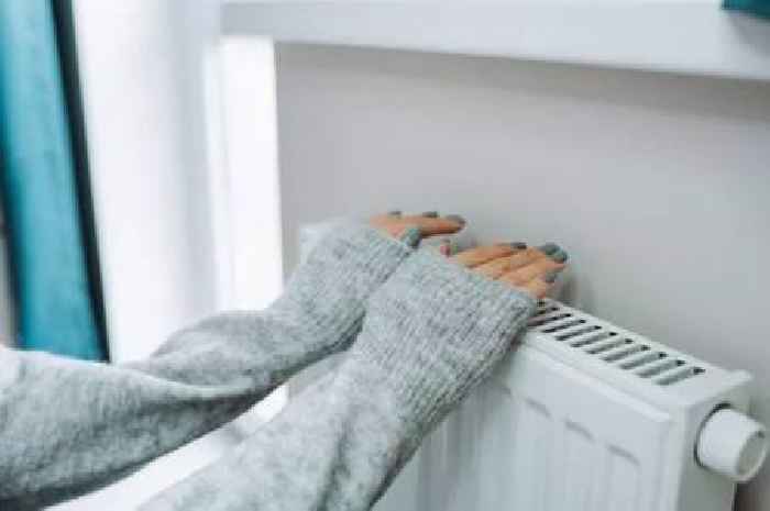 UK households urged to use radiator hack energy companies 'don't want you to know'