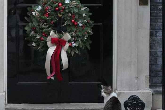 Christmas wreath from Cornwall on 10 Downing Street door