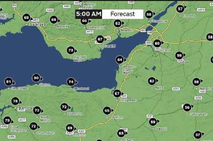 Storm Darragh: Rare red warning for Somerset with 'significant damage' forecast