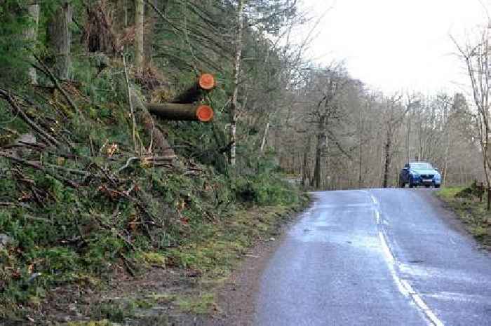 Dumfries and Galloway braced for 80mph gales as Storm Darragh amber weather warning extended