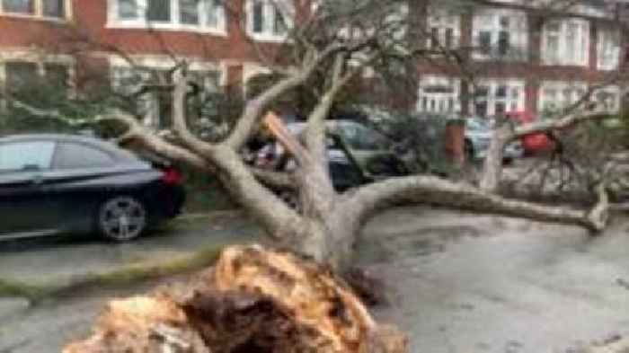Storm Darragh crushes cars and wrecks homes