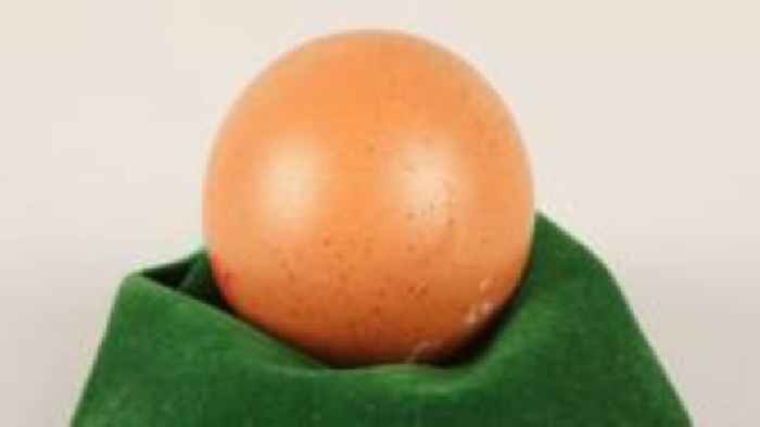 Spherical egg donation mistaken as 'joke' by charity