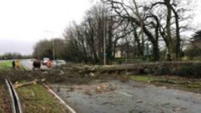 Man dies as tree falls on van in storm