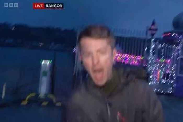 BBC reporter struggles to stand while giving report on Storm Darragh