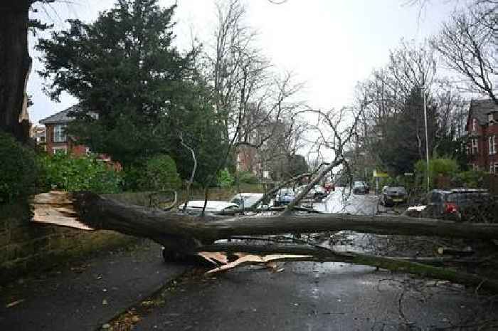 Full list of rail, road and air travel disruptions as Storm Darragh wreaks havoc across the UK