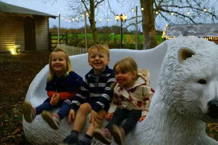 Chance to meet Santa and farm animals at Woodland Wonderland this Christmas season