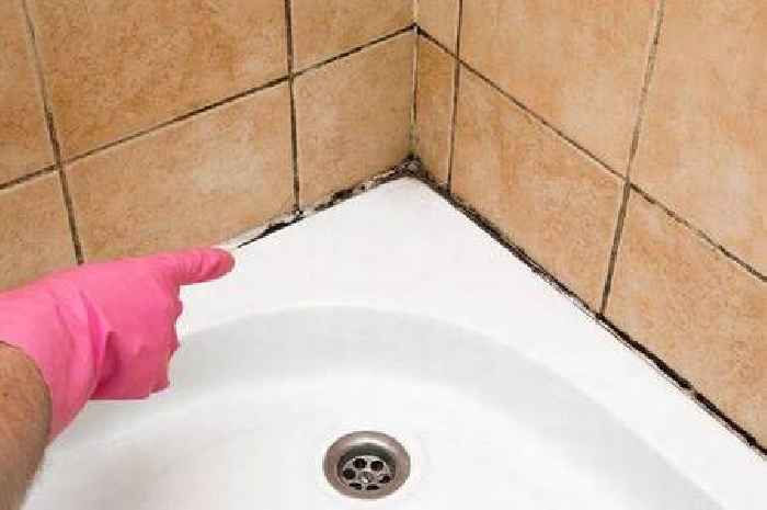 Cleaning expert's 'magic' 55p hack to remove mould from shower tiles