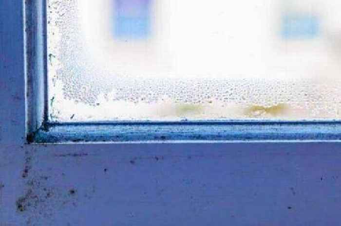 Simple bathroom item works like magic in removing window condensation