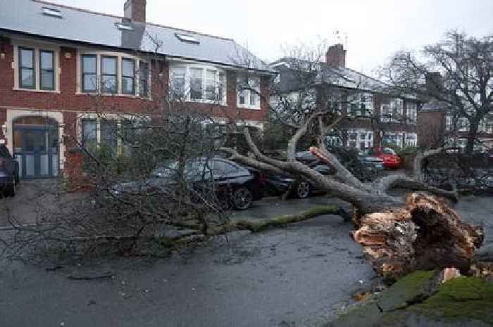 Storm Darragh major roads closed in England and Wales full list from National Highways