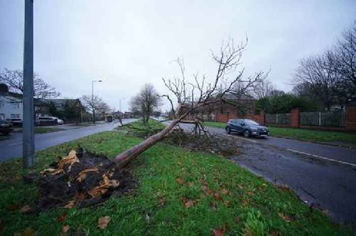 Storm Darragh wreaks havoc with 93mph winds, power cuts and travel chaos