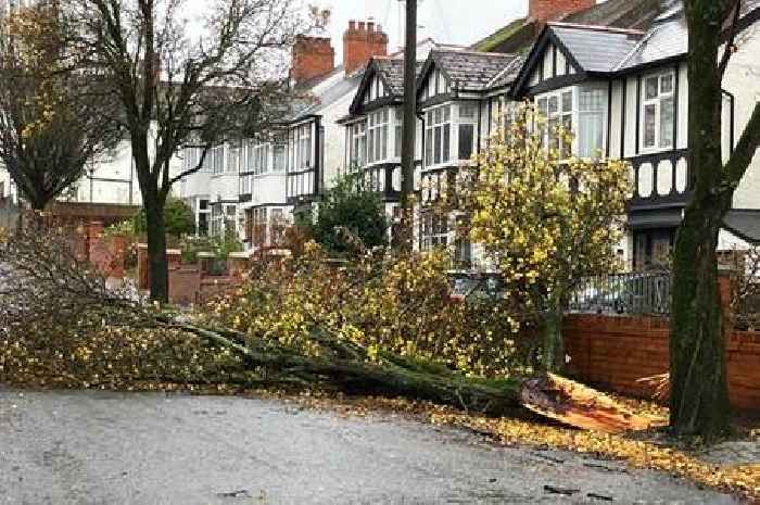 86,000 homes without power as Storm Darragh brings UK to a halt