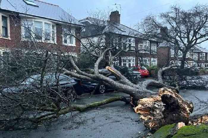 All the roads closed in Wales due to Storm Darragh