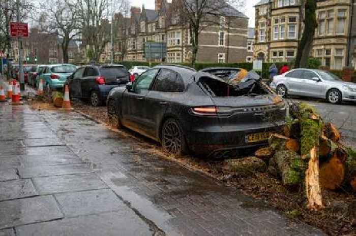 Storm Darragh: Cardiff council issues Winter Wonderland update as it sees worst storm day in 20 years