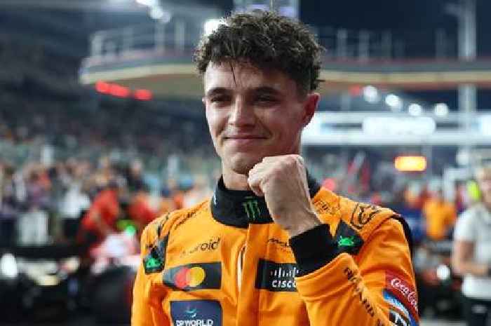 Max Verstappen crashes at Abu Dhabi GP as stellar Lando Norris sees McLaren seal title win