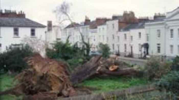 Man 'seriously injured' as huge tree falls into road