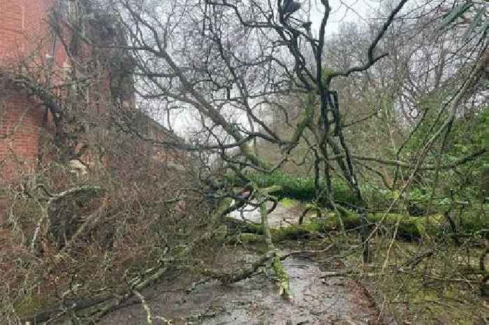 All the roads closed in Devon this morning by Storm Darragh