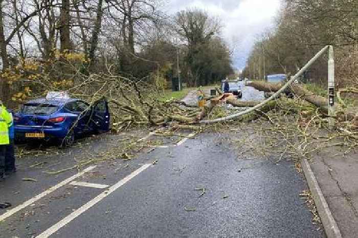 Storm Darragh second day live weather updates as strong winds continue to hit county