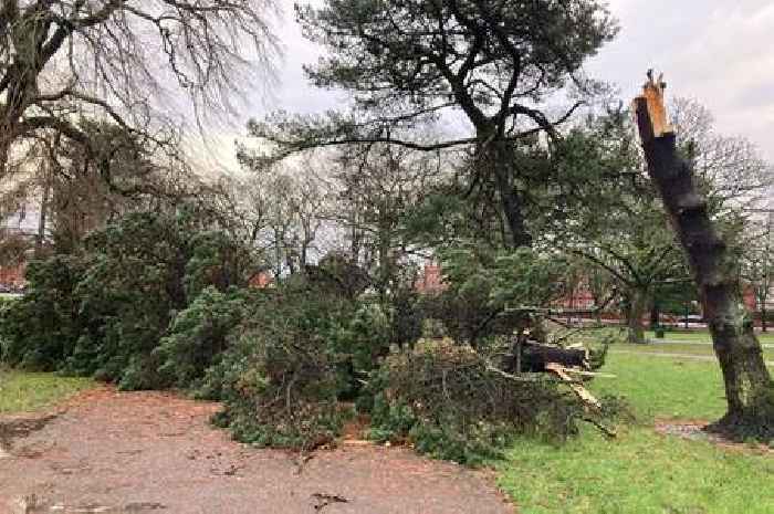 All the roads closed and trains cancelled in Wales on Sunday due to Storm Darragh