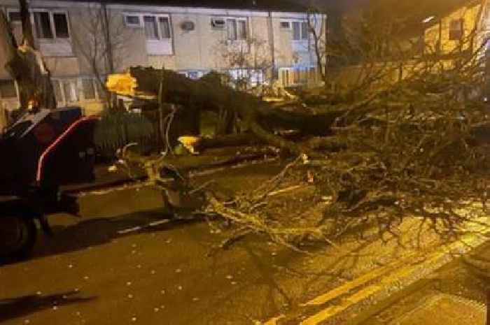 Storm Darragh creates Birmingham havoc - pictures as man killed in winds